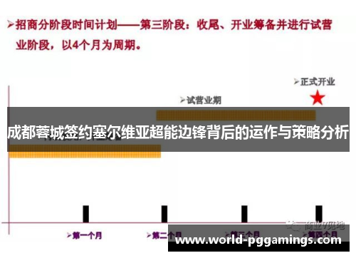 成都蓉城签约塞尔维亚超能边锋背后的运作与策略分析