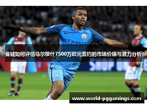曼城如何评估马尔穆什7500万欧元签约的市场价值与潜力分析