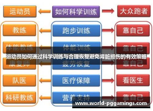 运动员如何通过科学训练与合理恢复避免肾脏损伤的有效策略 运动员如何通过科学训练与合理恢复避免肾脏损伤的有效策略